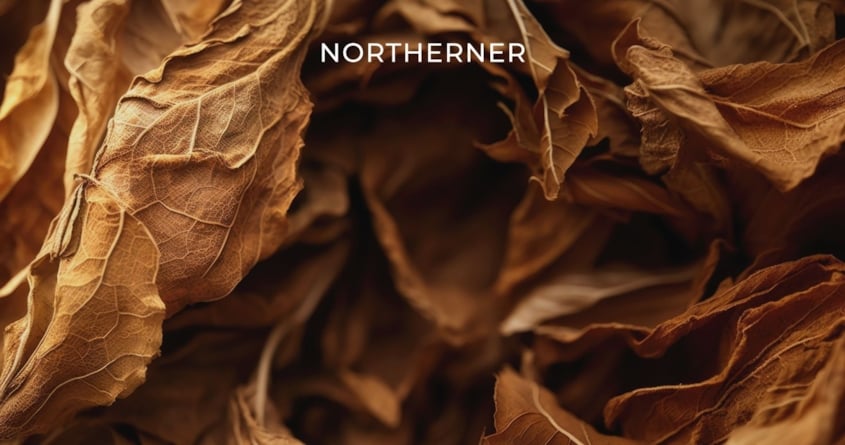 Tabakblätter, die getrocknet wurden und braun sind