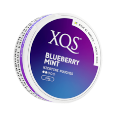 XQS Blueberry Mint Light Slim Nicotine Pouches