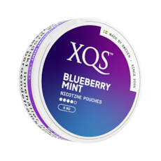 XQS Blueberry Mint Slim All White Nicotine Pouches
