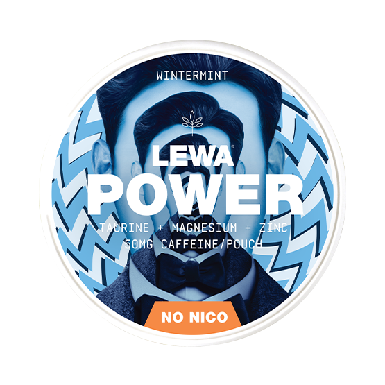 LEWA Wintermint Nicotine Free Pouches