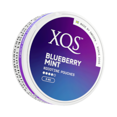 XQS Blueberry Mint Slim All White Nicotine Pouches