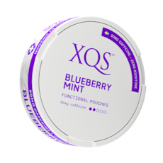 XQS Blueberry Mint Nicotine Free Pouches