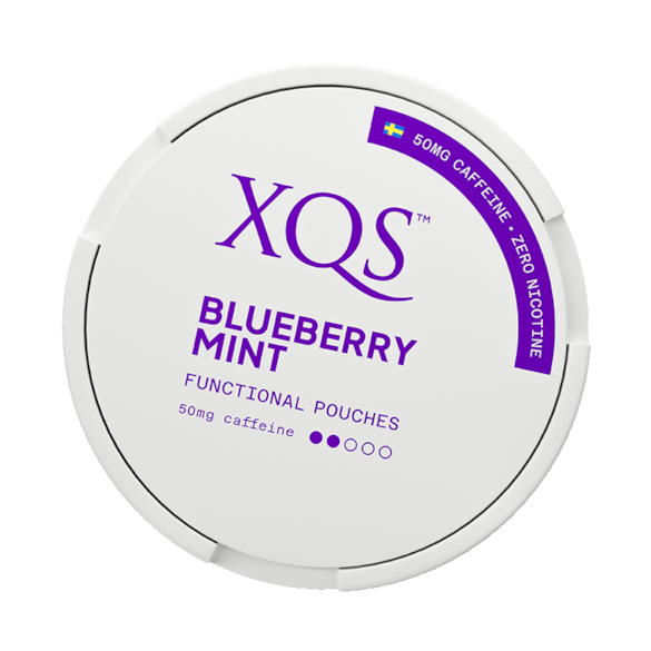 XQS Blueberry Mint Nicotine Free Pouches