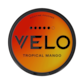 Velo Tropical Mango 14mg