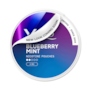 XQS Blueberry Mint Light Slim Nicotine Pouches