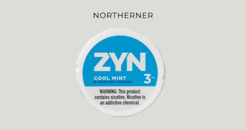 ZYN vor möglicher US-Zulassung: Eine internationale Einordnung