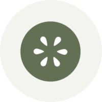 Geschmacksrichtungen Icon COCO Snus