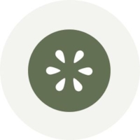 Zitronenscheibe fuer Aromen