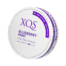 XQS Blueberry Mint Nicotine Free Pouches
