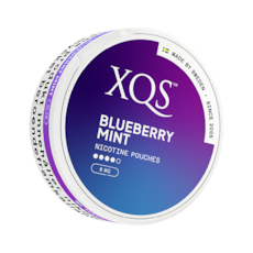 XQS Blueberry Mint Slim All White Nicotine Pouches