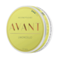 Avant Limoncello 3