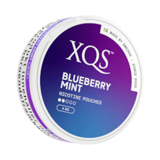 XQS Blueberry Mint Light Slim Nicotine Pouches