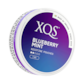 XQS Blueberry Mint Light Slim Nicotine Pouches
