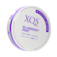 XQS Blueberry Mint Nicotine Free Pouches