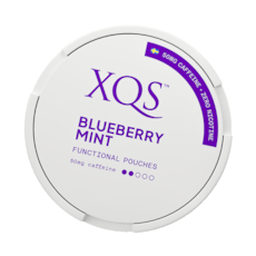 XQS Blueberry Mint Nicotine Free Pouches