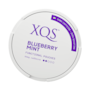 XQS Blueberry Mint Nicotine Free Pouches