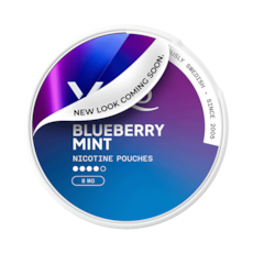 XQS Blueberry Mint Slim All White Nicotine Pouches