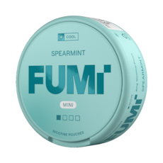FUMi Spearmint Mini Regular