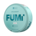 FUMi Spearmint Mini Regular