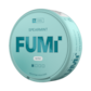 FUMi Spearmint Mini Regular