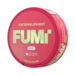 FUMi Watermelon Mint Mini Regular