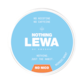 LEWA Nothing Nordic Mint Nicotine Free Pouches
