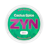 ZYN Cactus Spice 9mg