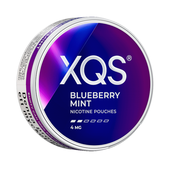 XQS Blueberry Mint 4mg
