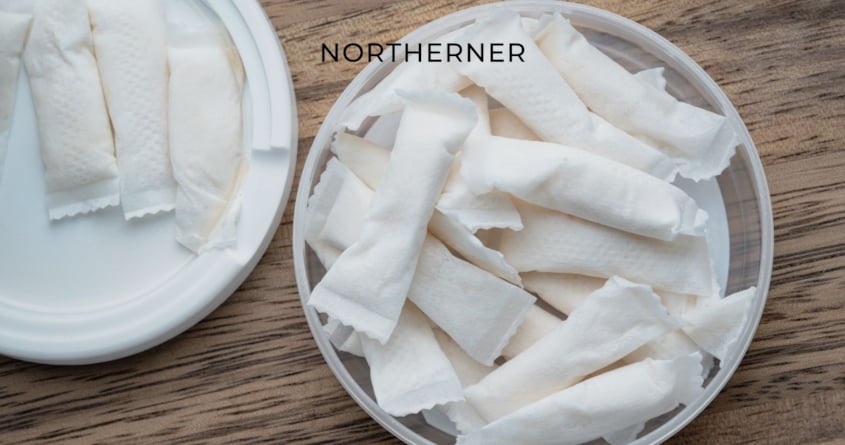 What Are Nicotine Pouches?
