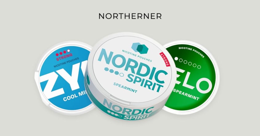 Best Snus Brands in the UK (2025)
