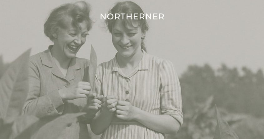 How Women Shaped the Evolution of Snus in Sweden 