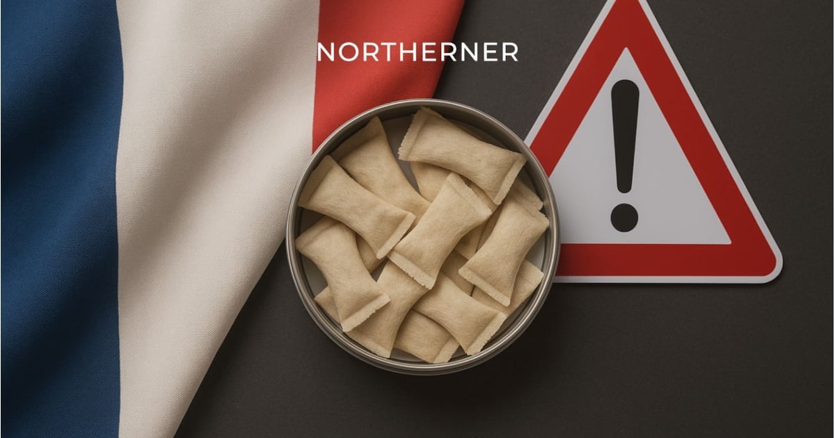 azul vapes France May Ban Nicotine Pouches – What UK Users Must Know