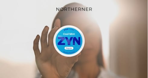 What is ZYN? Brand Explained