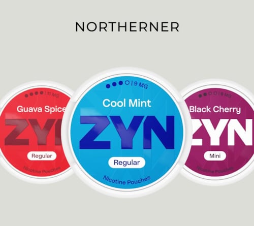 ZYN Review 2025