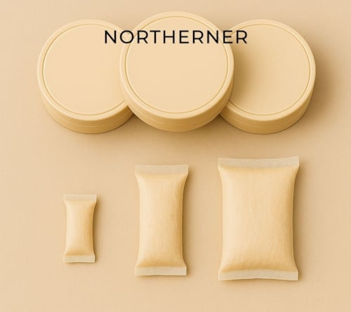 Snus meaning nicotine pouch dictionary