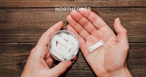 hand holds nicotine pouches, investigating ingredients of nicotine pouches