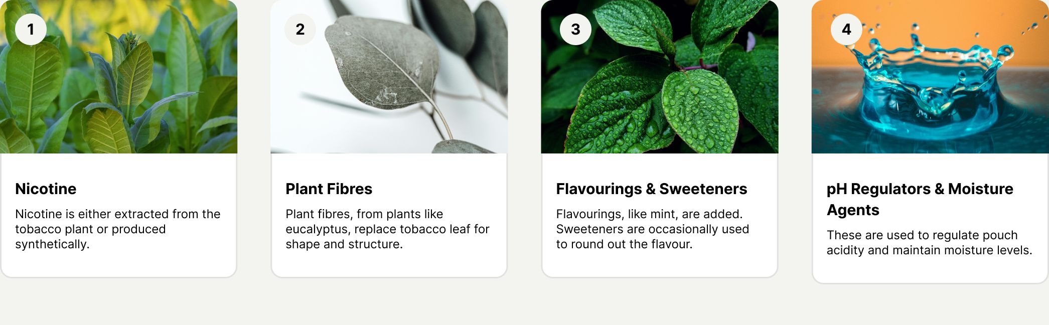 infographic showing ingredients of nicotine pouches