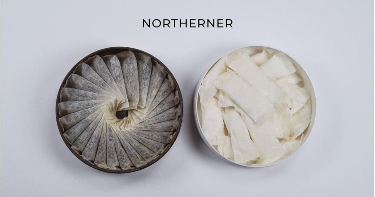 Snus vs Nicotine Pouches: Key Differences Explained