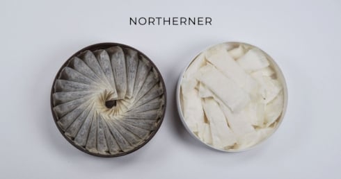 Nicotine Pouches vs Snus