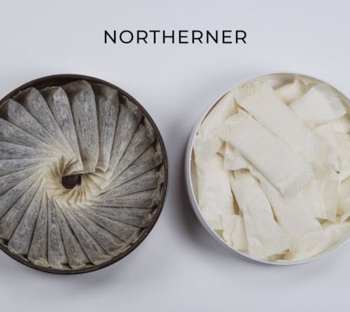 Nicotine Pouches vs Snus