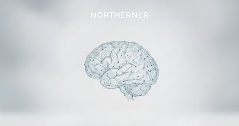 Image of the brain, symbolising scientific definition of snus as a drug