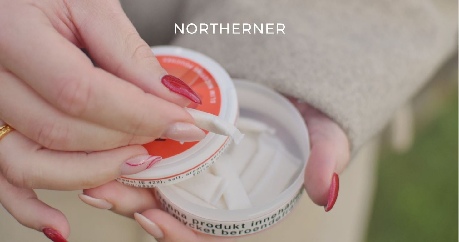 "Will nicotine pouches replace disposable vapes?" - Northerner UK