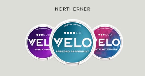 Best VELO Flavours- Northerner UK