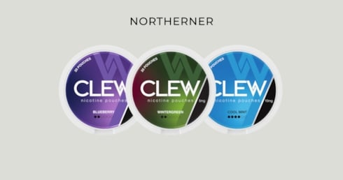 CLEW Review: Tested Nicotine Pouches & Flavours
