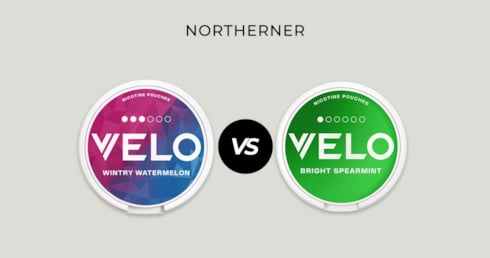 VELO Mini vs Slim: Formats, Size & Key Differences