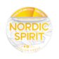 Nordic Spirit Melon Fresh Regular