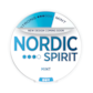 Nordic Spirit Mint Dry Strong