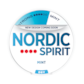 Nordic Spirit Mint Dry X-Strong