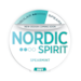 Nordic Spirit Spearmint Dry Regular