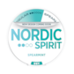 Nordic Spirit Spearmint Dry Regular